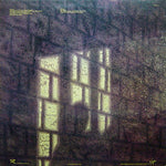 Mike Oldfield And Roger Chapman : Shadow On The Wall (Extended Version) (12", Single)