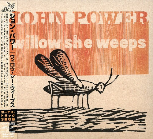 the album cover for John Power - Willow She Weeps