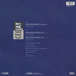 Ceejay : There's No Stopping My Heart (12", Maxi)