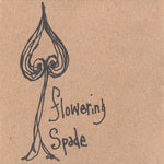 the album cover for Sean Hayes - Flowering Spade