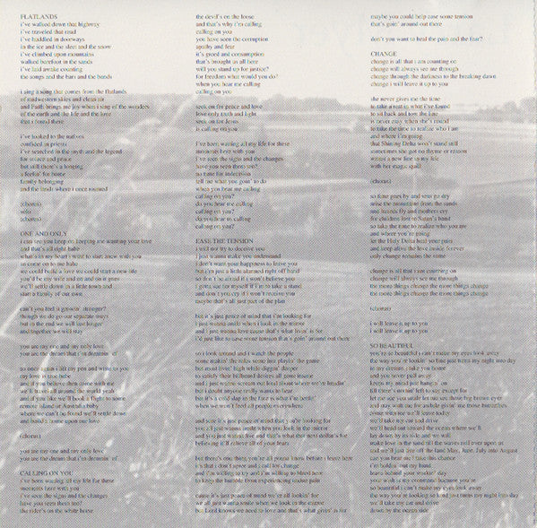 Larry Myer : Flatlands (CD, Album)