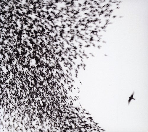 Wilco - Cielo azul cielo (CD)