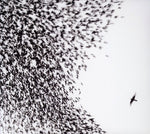 Wilco - Cielo azul cielo (CD)