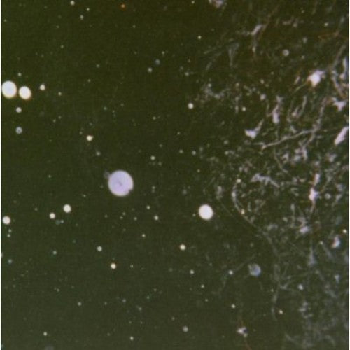 the album cover for Azrael - Into Shadows Act II: Through Horned Shadows Glimpse