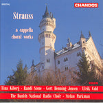 the album cover for Stefan Parkman - Capella Choral Works
