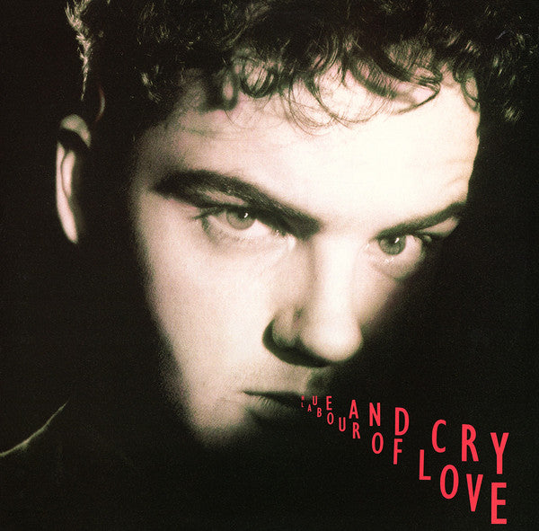 Hue And Cry* : Labour Of Love (12", Promo)