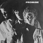 Promise (23) : I'll Be There In A Heartbeat / Don't Ask Me How My Nights Have Been (7")