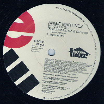 Angie Martinez Featuring Lil' Mo & Sacario : If I Could Go! (12", Promo)