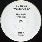 T J Davis* : Wonderful Life (12", Promo)