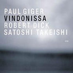 the album cover for Paul Giger - Vindonissa