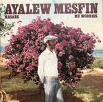 Ayalew Mesfin : Hasabe - My Worries (LP, Comp, Club, Mar)