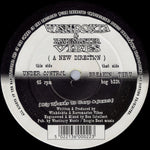 Wishdokta & Ravemaster Vibes* : A New Direction (12")