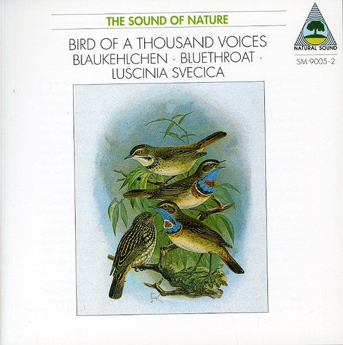the album cover for Walter Tilgner - Blaukehlchen