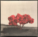 Chvrches / The Regrettes (3) / Cocteau Twins : Project Unfollow (10", Club, Ltd, Num, Gol)
