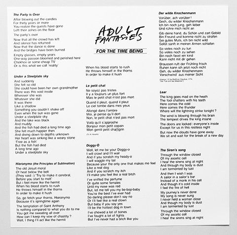 Adult Fantasies : For The Time Being (LP, Album)