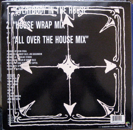 Navigator* : Everybody In The House (12")