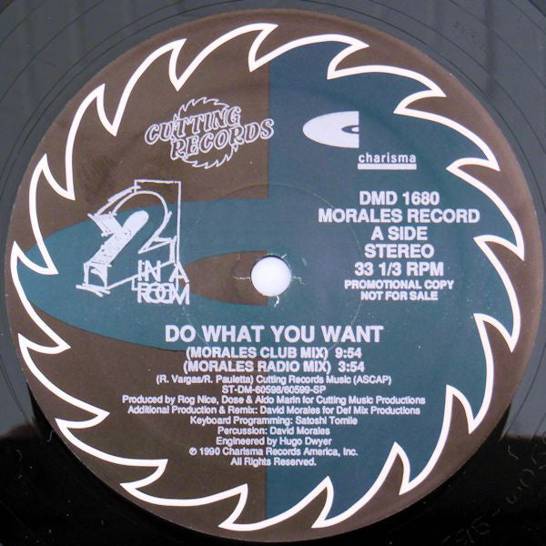 2 In A Room : Do What You Want (2x12", Promo, S/Edition)