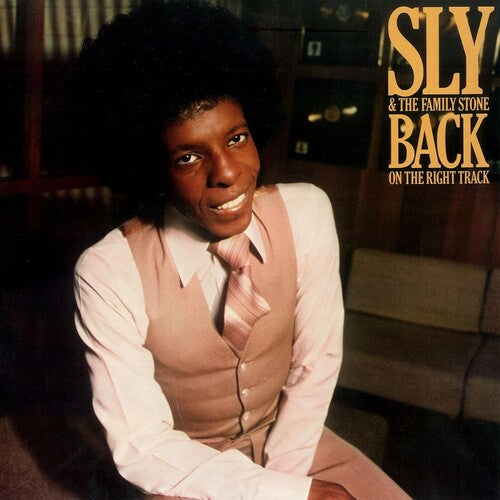 Sly & the Family Stone - Back On The Right Track (CD)