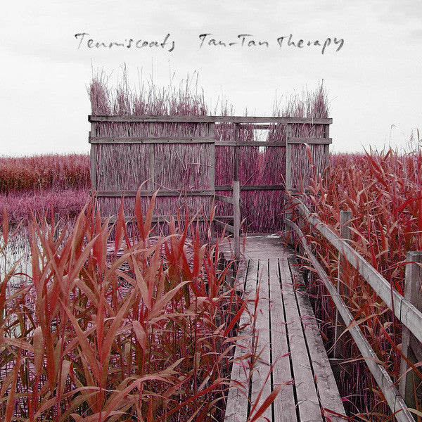 Tenniscoats : Tan-Tan Therapy (CD, Album, Dig)