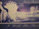 Boston Bruins : I Will Be Free (12")