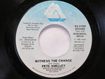 Pete Shelley : Witness The Change (7", Promo, Styrene, Ter)