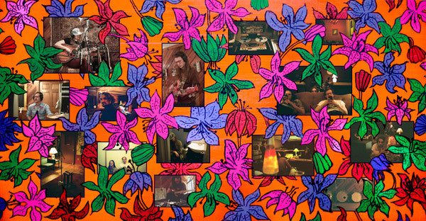 Liz Cooper & The Stampede : Window Flowers (2xLP, Album, Ltd, Tra)