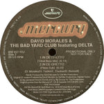David Morales & The Bad Yard Club Featuring Delta (9) : In De Ghetto (12", Promo)
