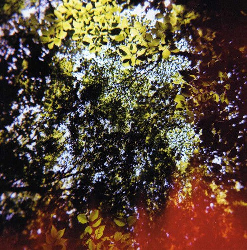 the album cover for Hisato Higuchi - Butterfly Horse Street