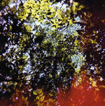 the album cover for Hisato Higuchi - Butterfly Horse Street