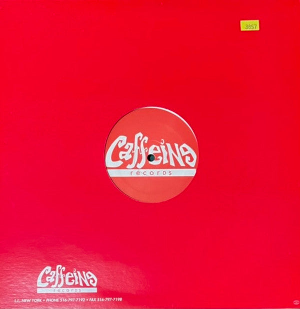 Micro* & Vicious Vic : Electric / Impact (The Mixes) (12")
