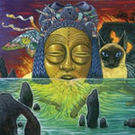 the album cover for Valet - Naked Acid