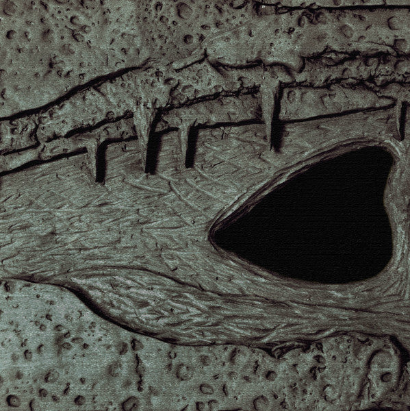 Twin Speak : Soulss (LP)