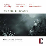 the album cover for Luigi Gaggero - Music for Cimbalom