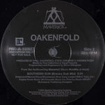Paul Oakenfold : Ready, Steady, Go / Southern Sun (12", Promo)