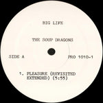 The Soup Dragons : Pleasure (12", Promo)