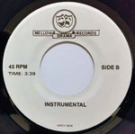 James Collins (2) &John Randall (15) : Nothing Lasts Forever (She Was Gonna Be Mine) (7", Single)