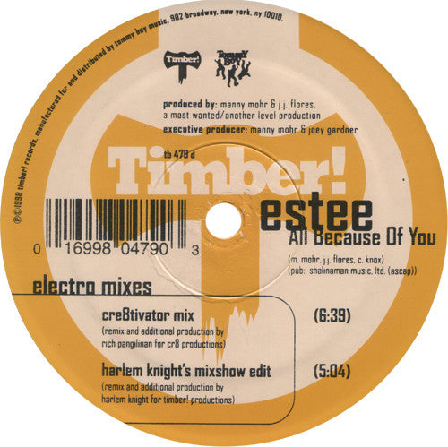 Estee : All Because Of You (2x12")