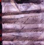 the album cover for Ellen Lease /Moriarty Pat Quintet - Chance Love Logic