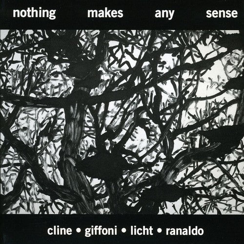 the album cover for Cline/Giffoni/Licht/Ranaldo - Nothing Makes Any Sense