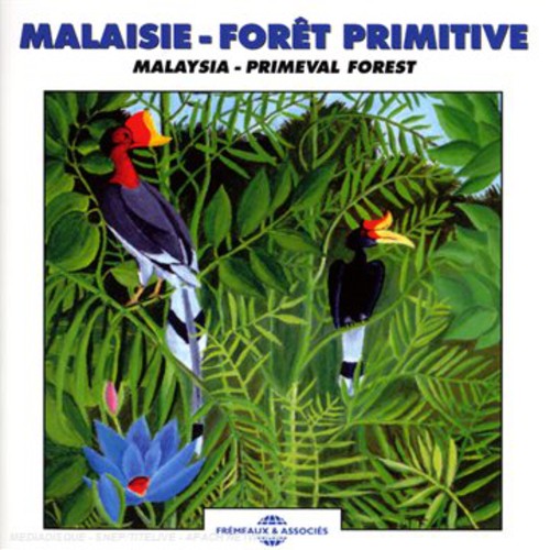 the album cover for Sounds Of Nature - Malaysia: Primeval Forest