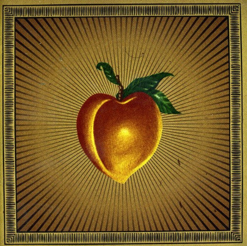 the album cover for Ninja Gun - Restless Rubes