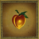 the album cover for Ninja Gun - Restless Rubes