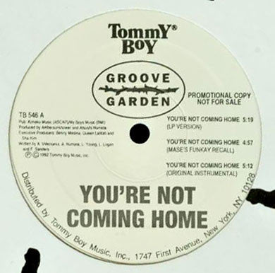 Groove Garden (2) : You're Not Coming Home (12", Promo)