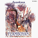 the album cover for Awankana - Flamboyan-River of the Stars