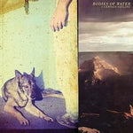 the album cover for Bodies Of Water - A Certain Feeling