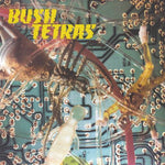 Bush Tetras : There Is A Hum / Seven Years (7")