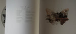 Julian Lennon : Everything Changes (Box, Album, Ltd, Num + 3xCD + DVD + 2xLP, Pic)