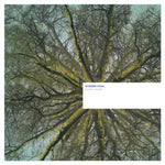 Sunken Foal - Fallen Arches (Vinilo)