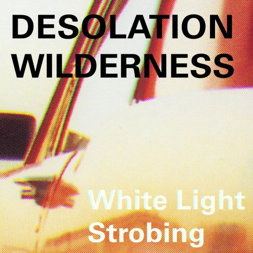 the album cover for Desolation Wilderness - White Light Strobing