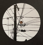 Hemlock Ernst & Kenny Segal : Back At The House (LP, Album)